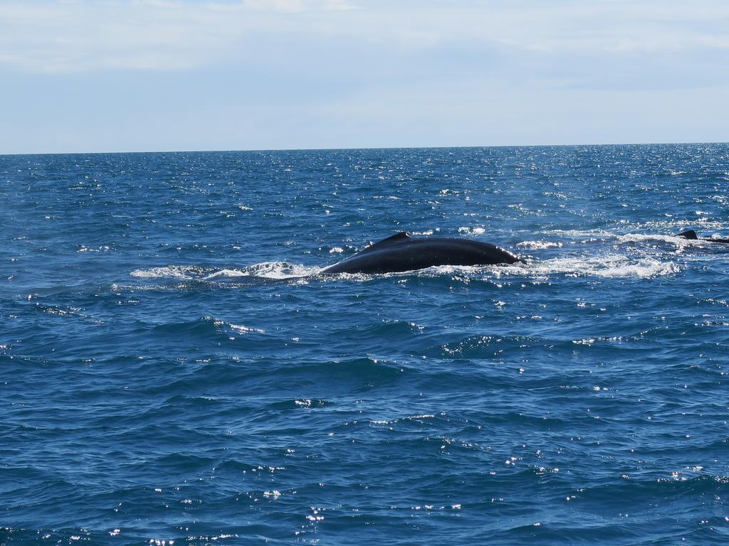 Hotel Marina Porto Abrolhos Caravelas Luaran gambar